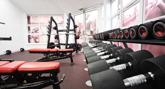 benches and dumbbell equipment in gym